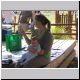 Tyson 1st Birthday - Amanda, Dermot.jpg